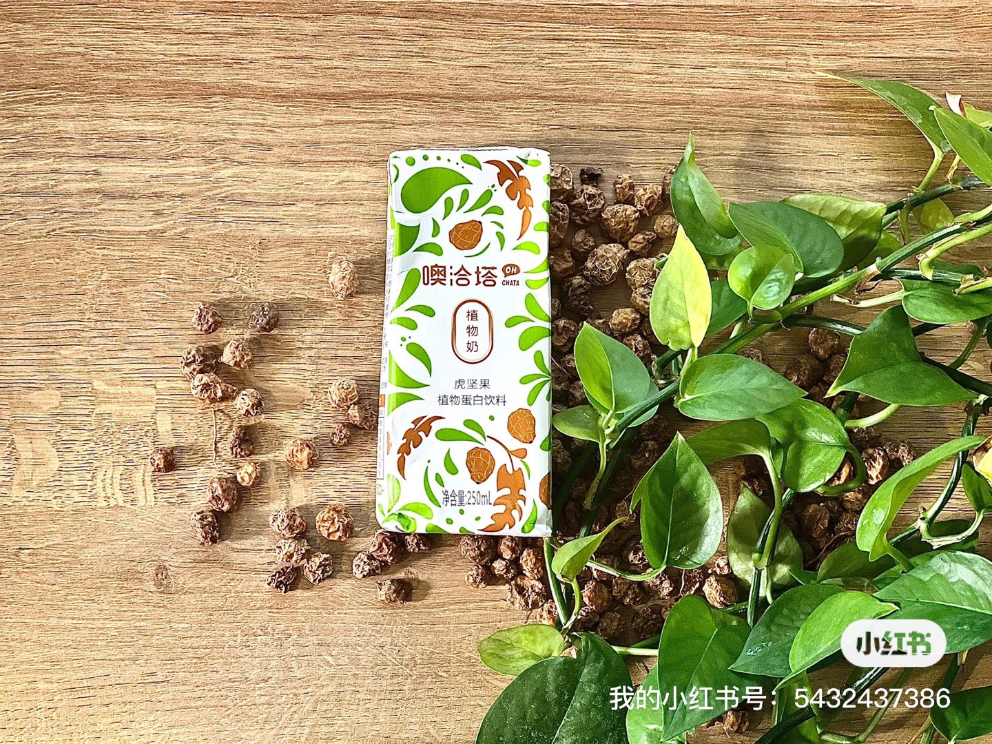 赵先生品牌货源提供高端饮品 虎坚果植物蛋白饮品 找有资源的经销商