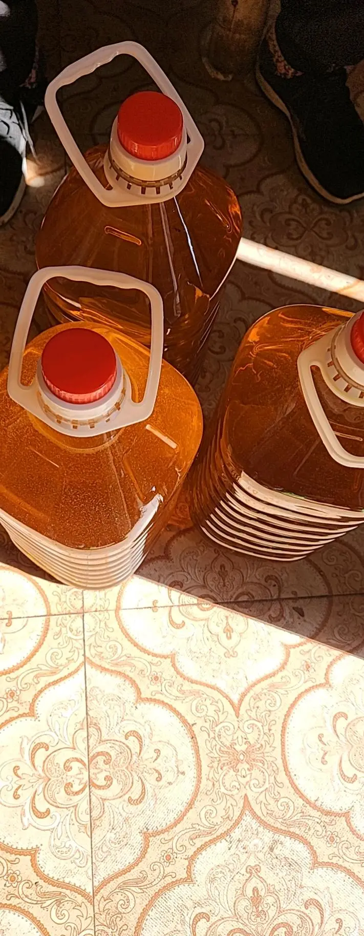 舒先生品牌货源有机茶籽油