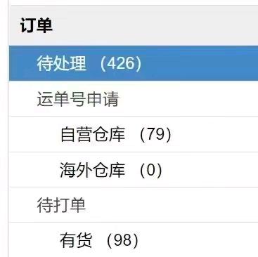 卢鼎桐专业团队 速卖通代运营 