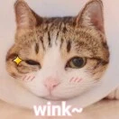 罗先生