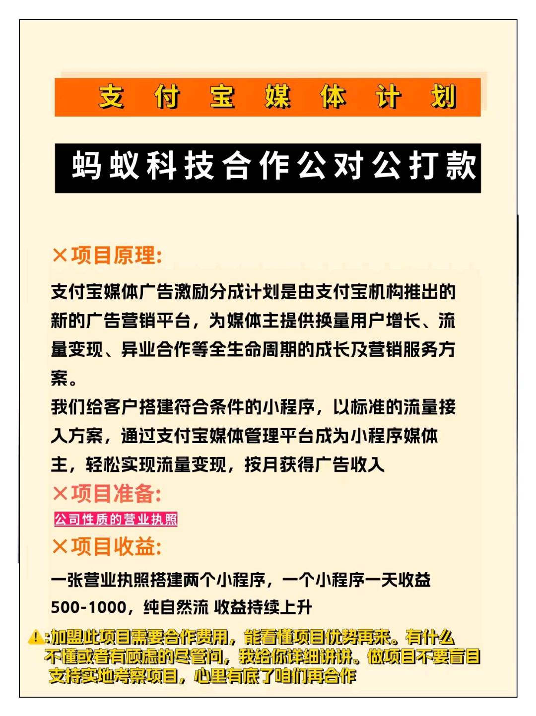 翁女士找合伙人支付宝小程序纯自然流玩法 只需要投流获取收益