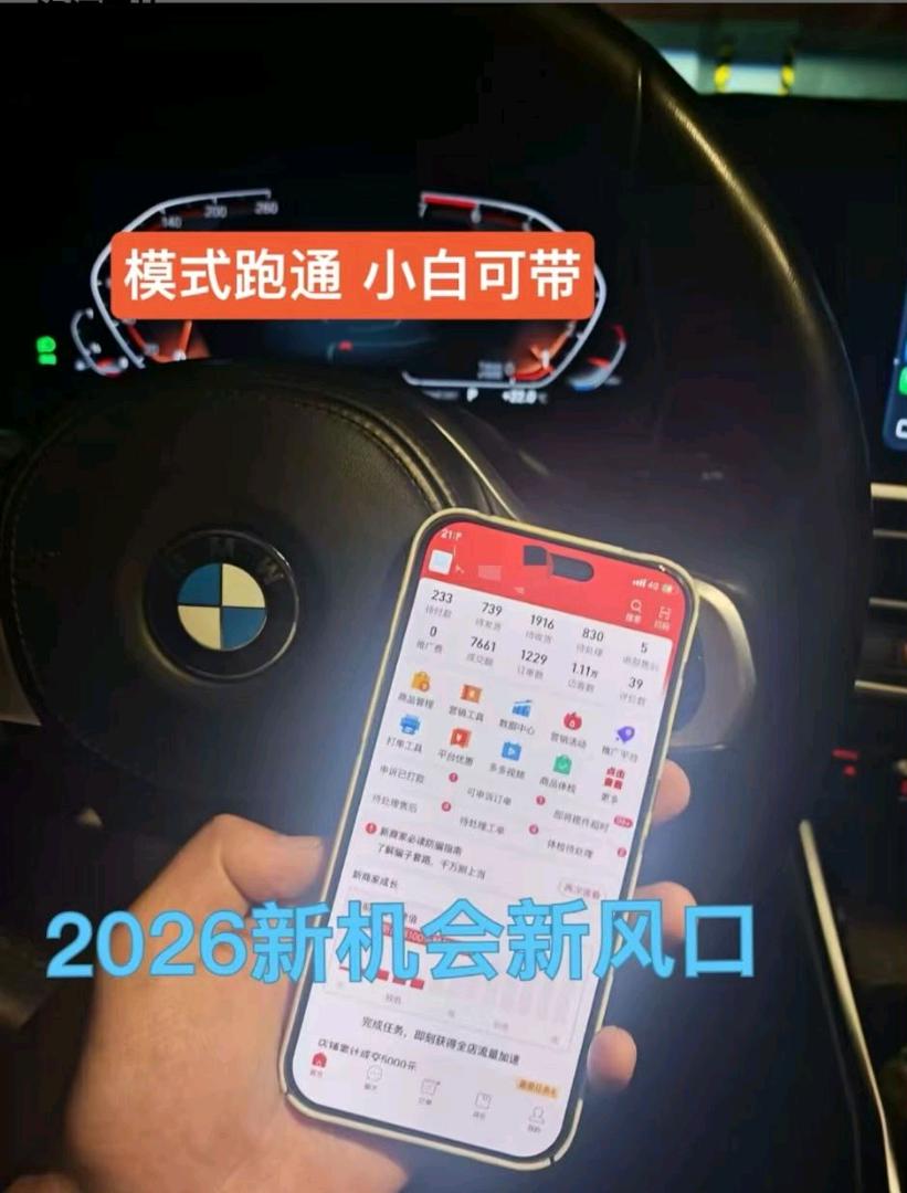 孙先生找合伙人拼多多网店项目，无需经验，无需前置费用
