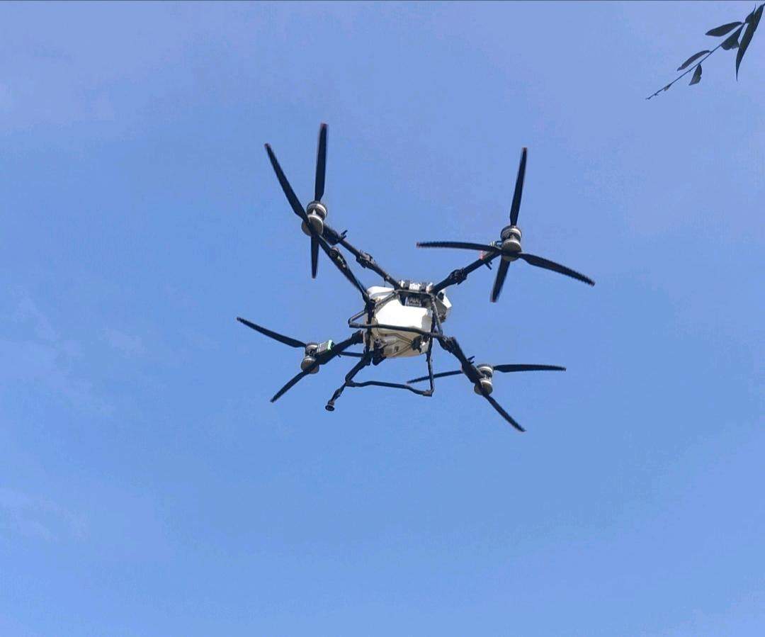 陈小龙其他供需