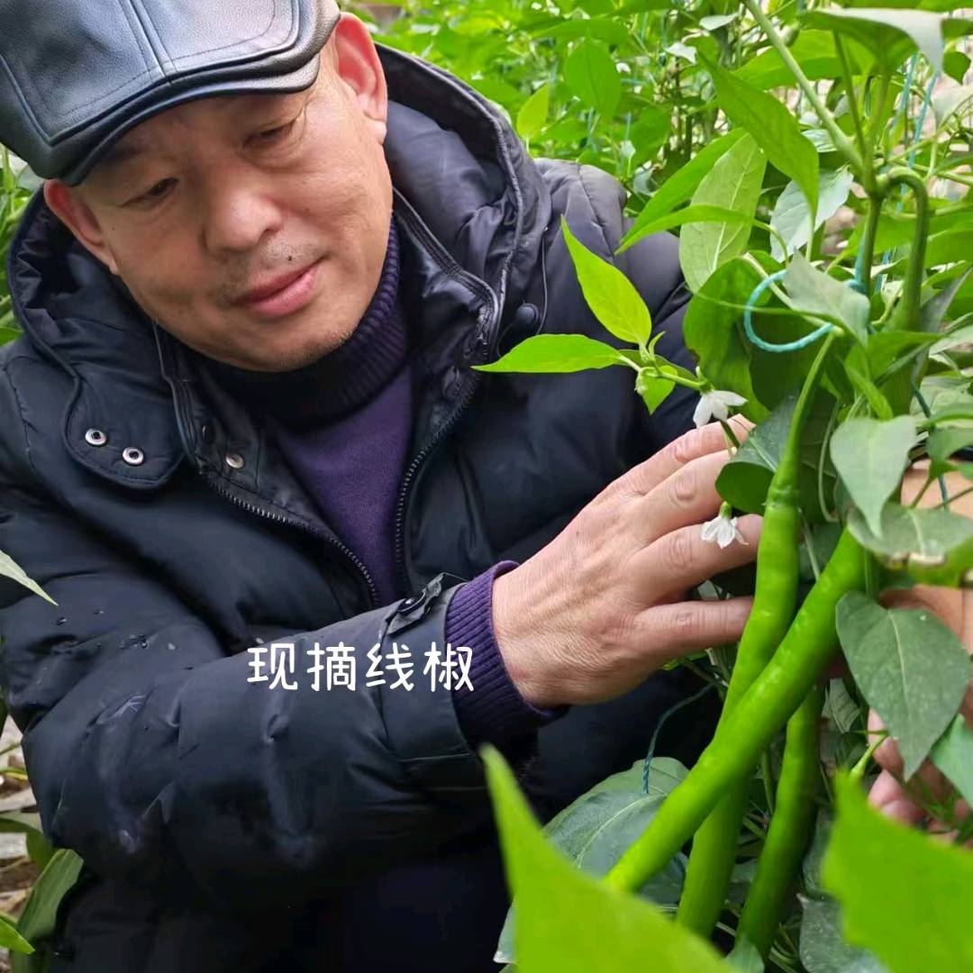 王兆杰找合伙人