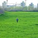 朱传涛