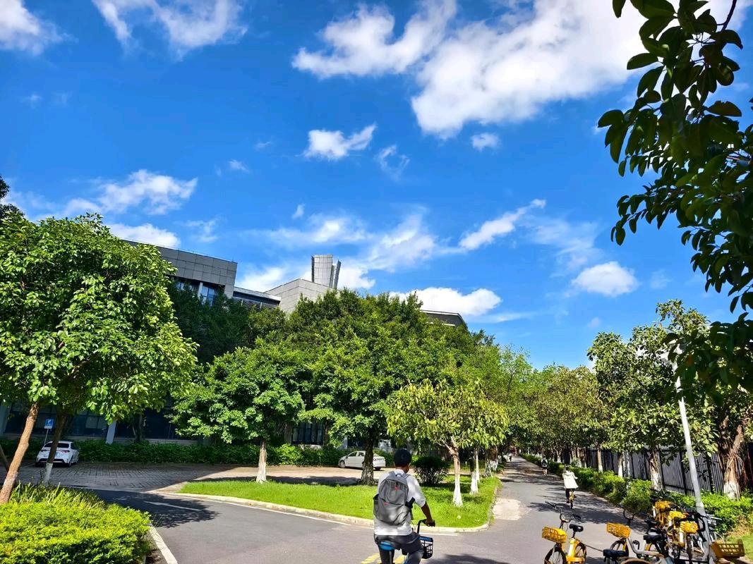 赵先生其他供需