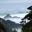 王先生