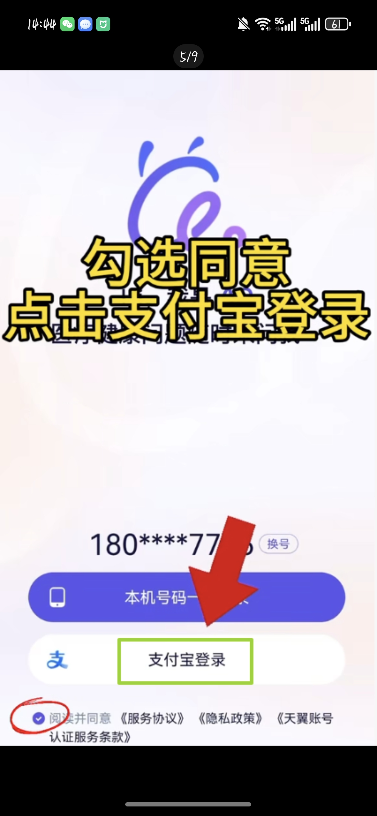 张元云地推项目