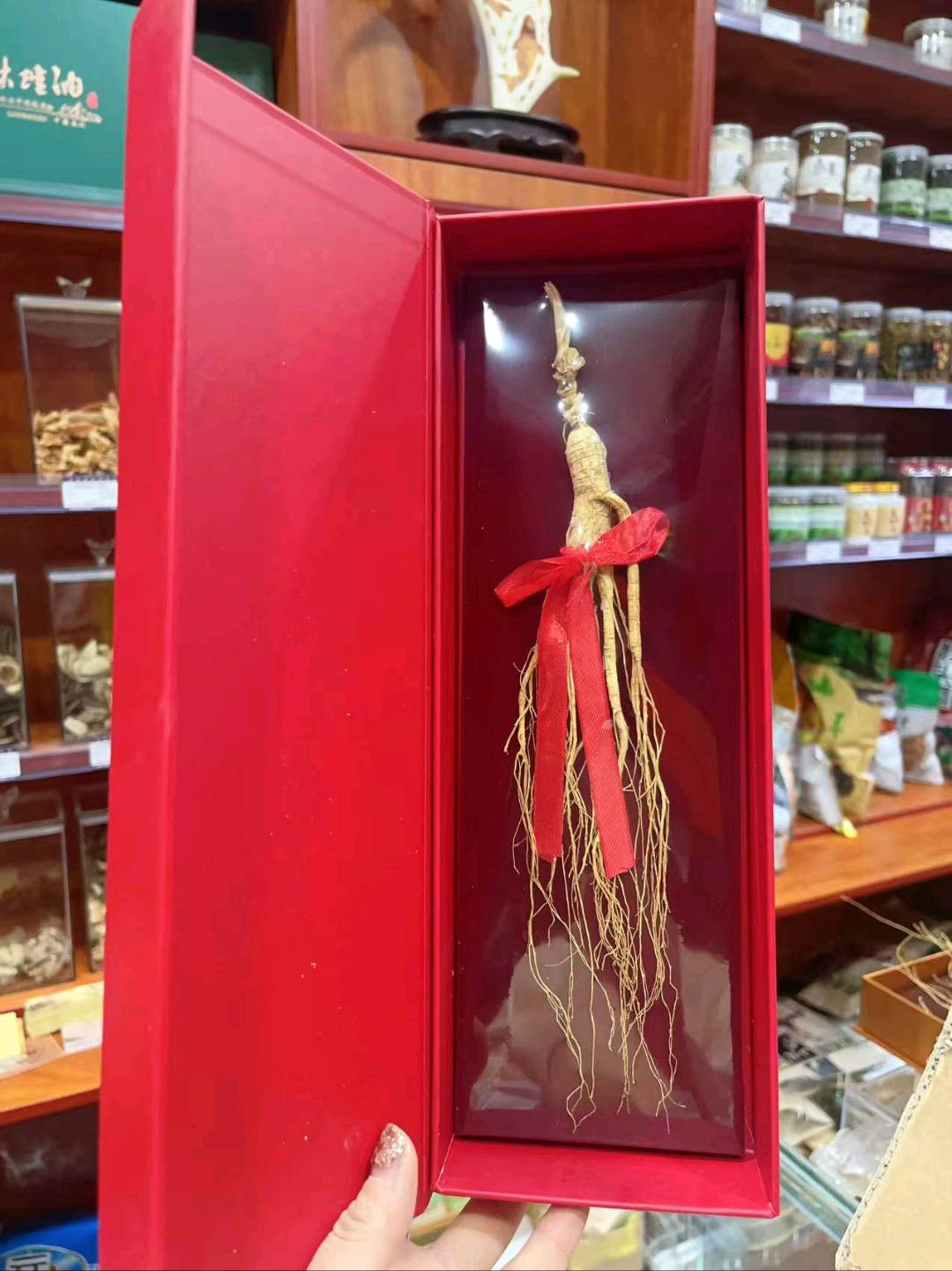 孙国栋品牌货源林下人参礼盒