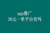 app推广30元一单平台有吗
