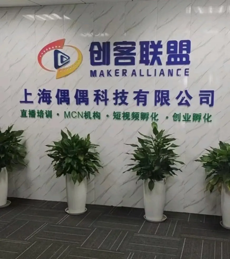 陈栋找合伙人闲鱼副业,让你轻松盈利,利润高一单1600—1900秒结,免费带无套路