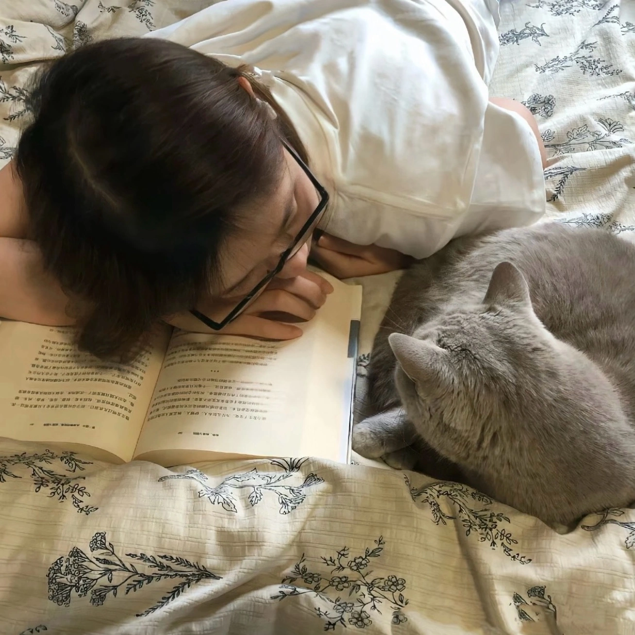 段女士
