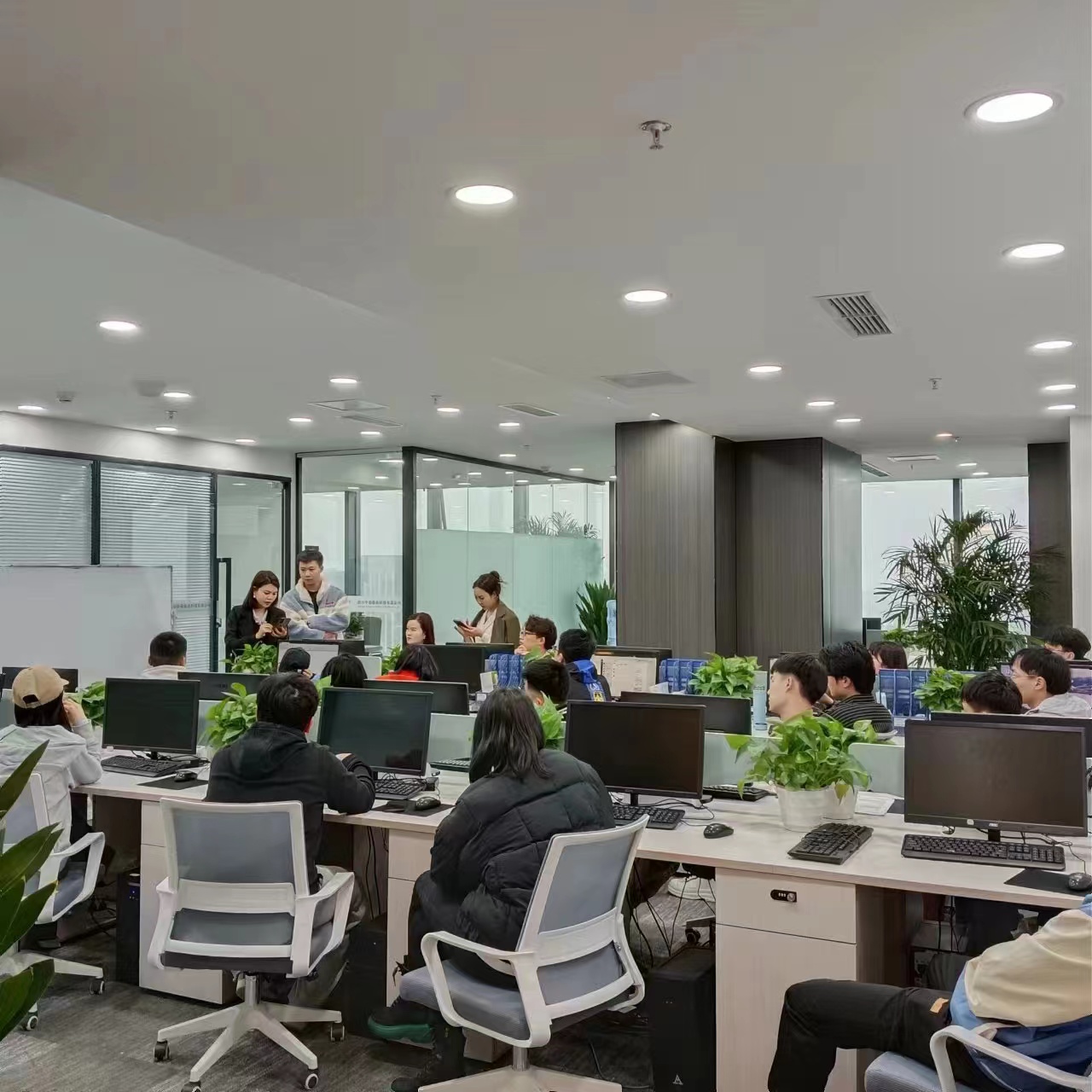 彭先生蓝海自媒体项目