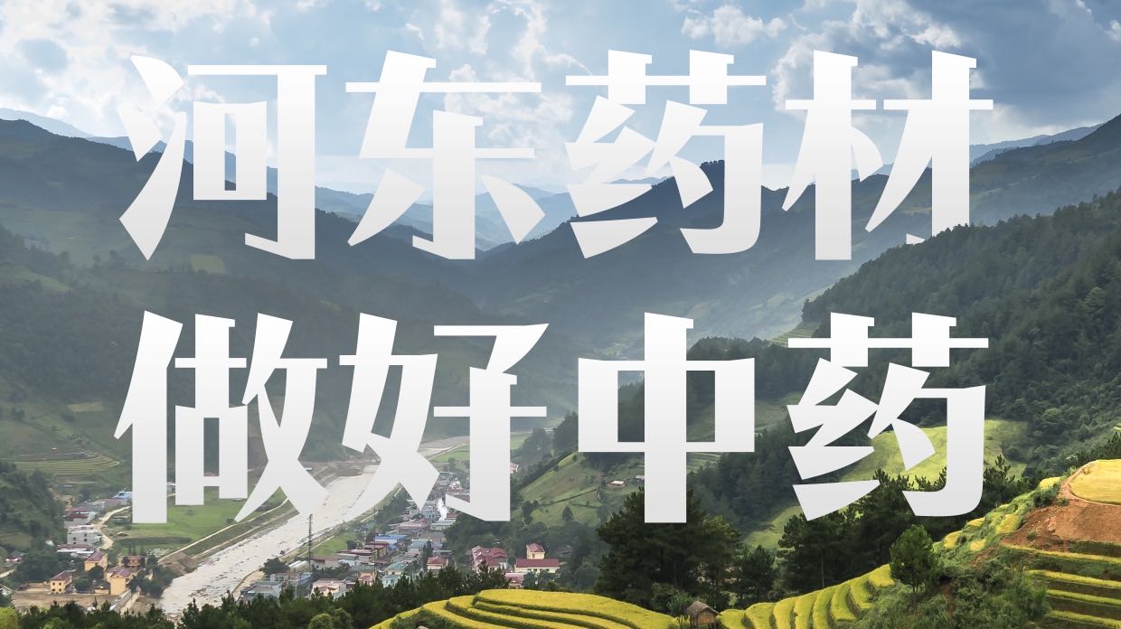 闫腾找合伙人北方中药材种植技术推广回收