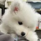 陈天享头像