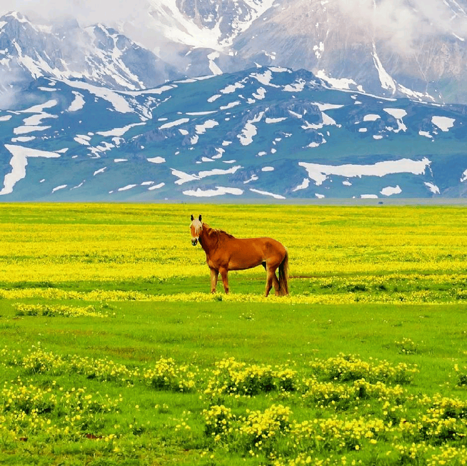 丘先生地推项目信用卡积分兑换