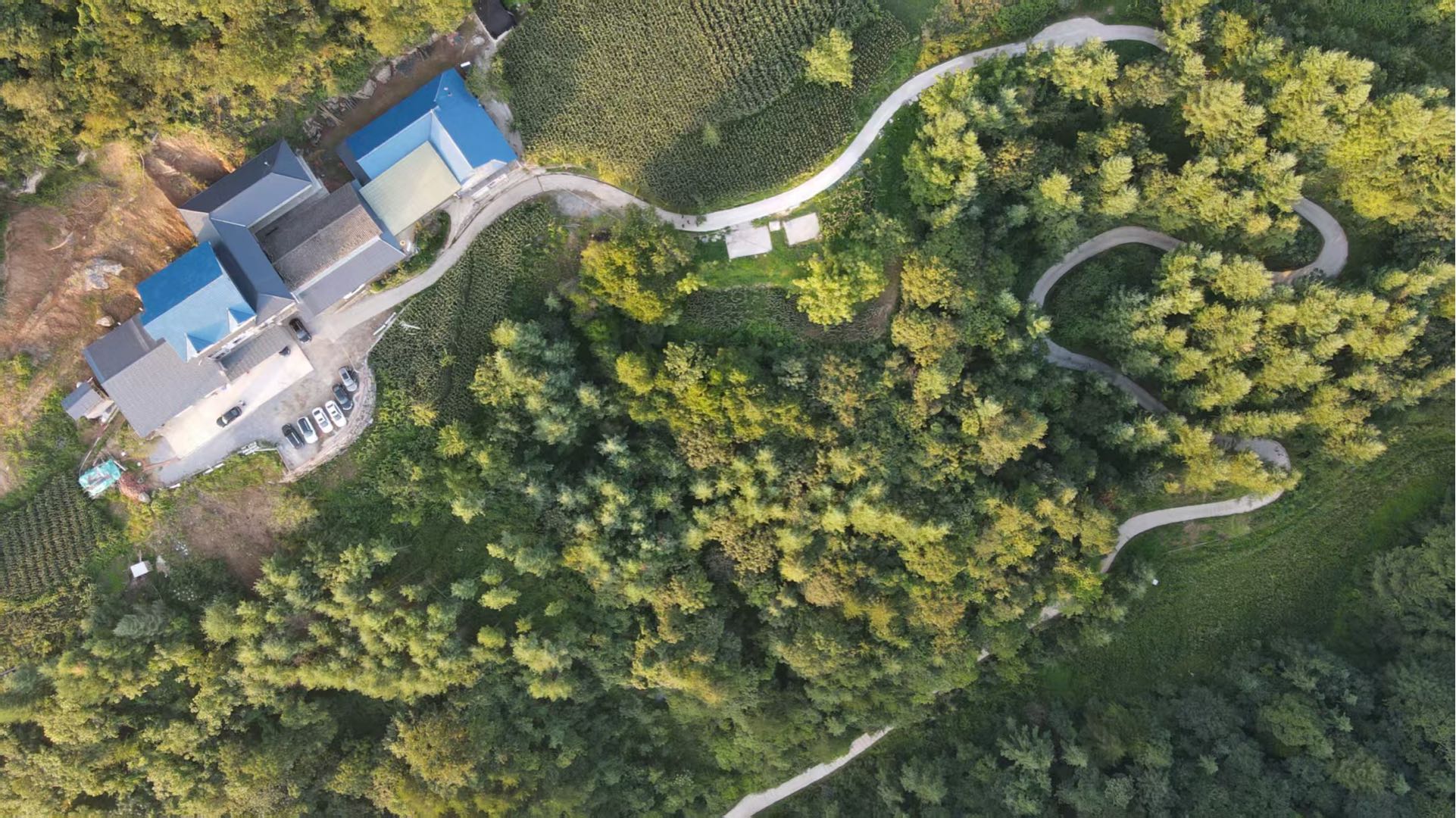 车先生找合伙人