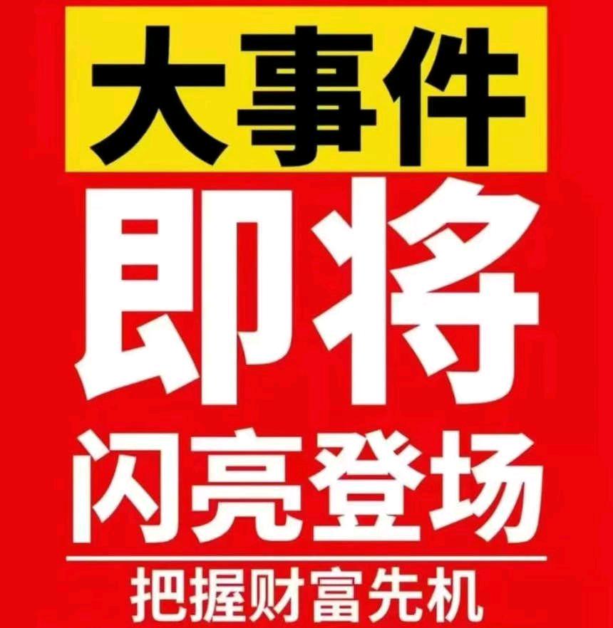 魏向阳找合伙人零帧起手，对接全国散户/团长/大团长