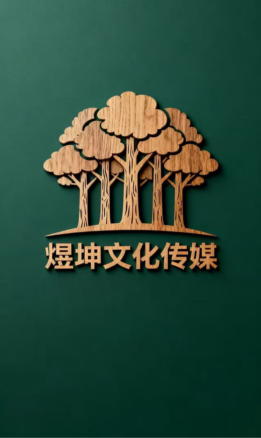 张成龙找合伙人拉新工作室 招商加盟