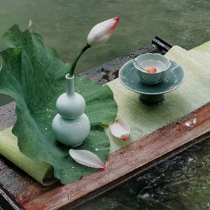 杨先生