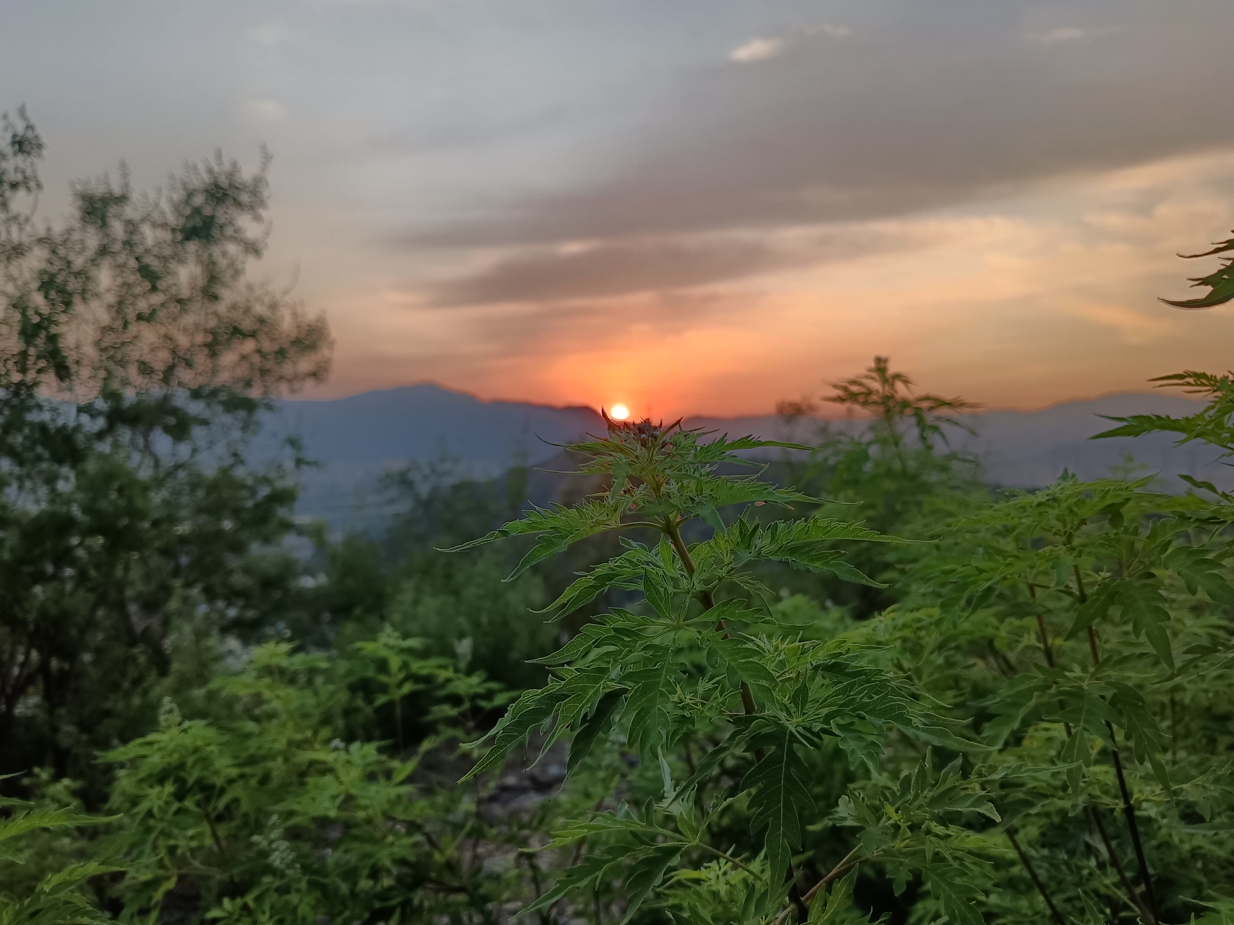 杨翠平找合伙人免费诚招京东外卖+抖音团购+微信视频号团购，项目合作