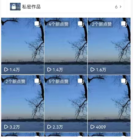 刘先生其他供需免费教，小说推文全新玩法，单号每日收入稳定超容易爆，可矩阵放大，日结
