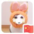 许先生