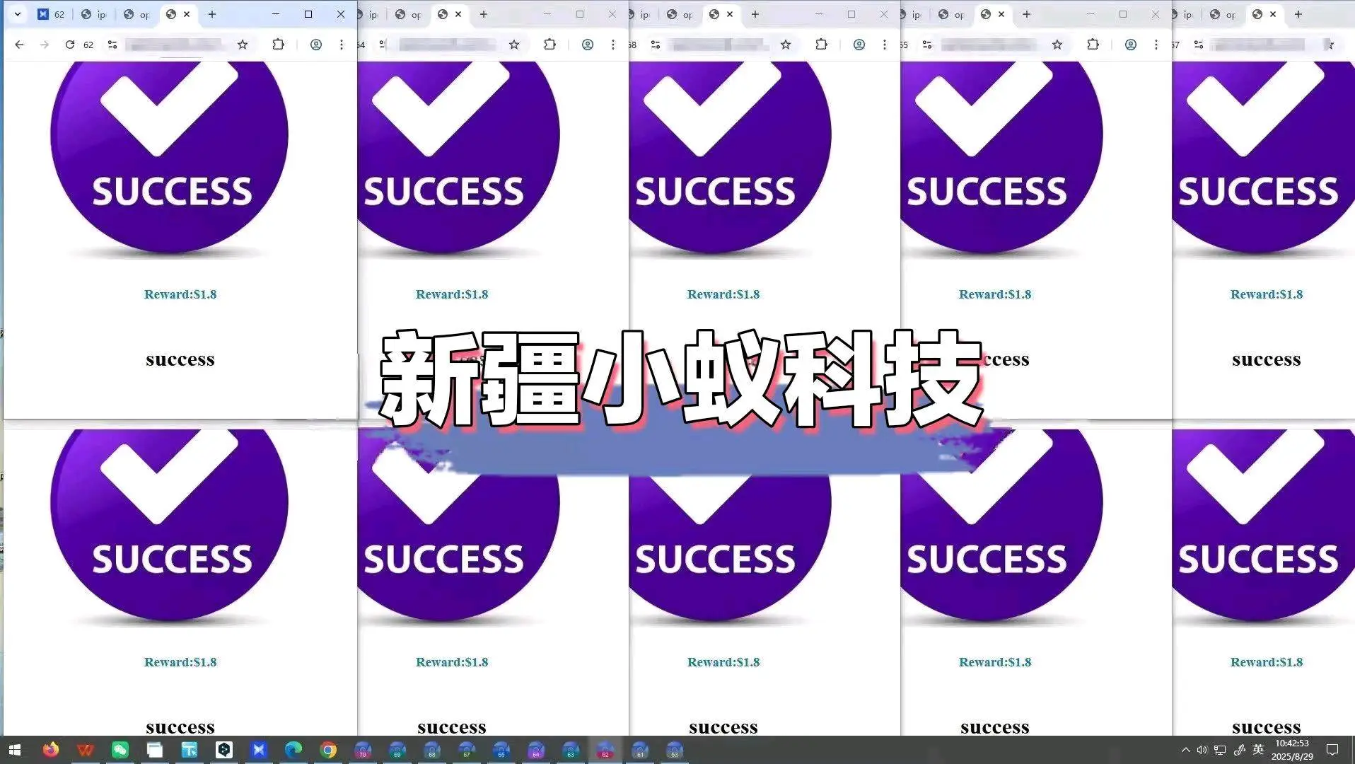 王先生正规海外问卷调查 免费教学 终身售后 多合作模式可选择