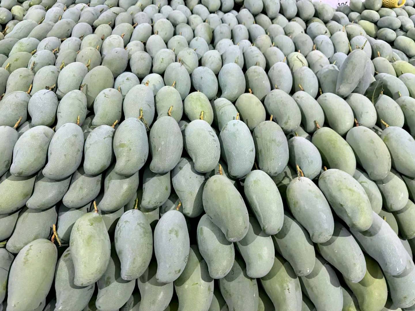 赖先生品牌货源