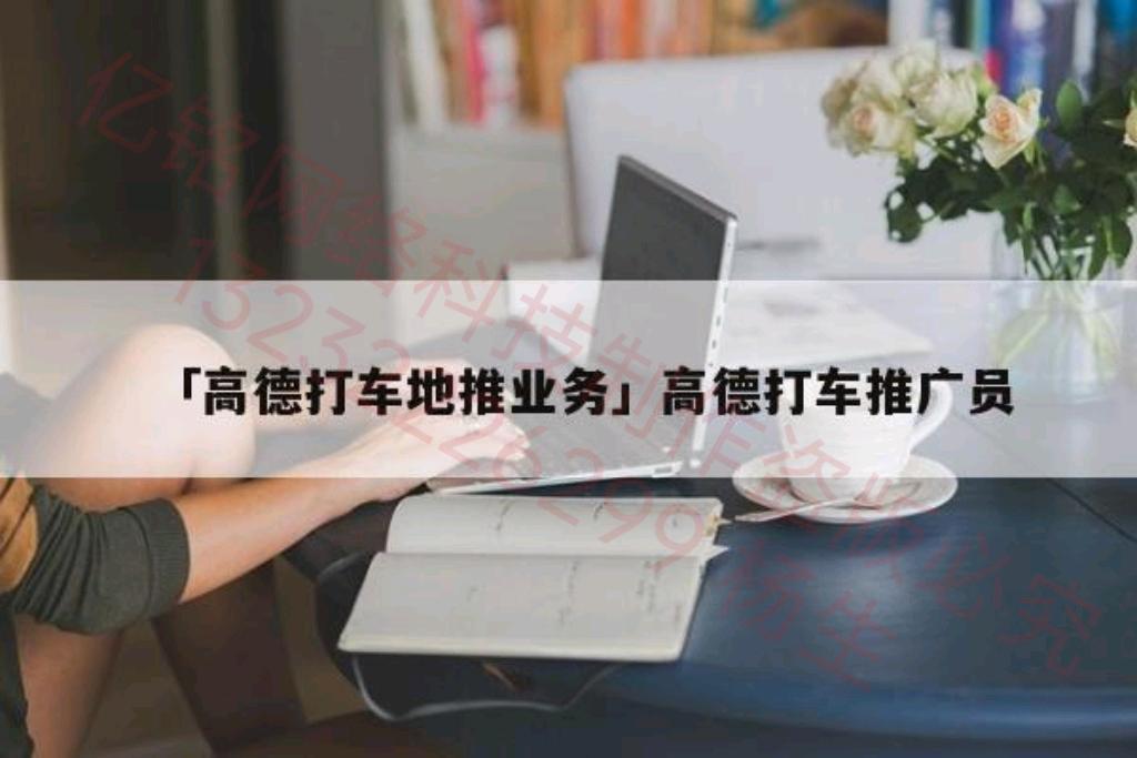 杨先生地推项目