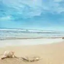 梁女士