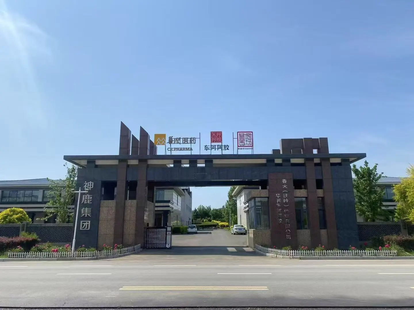 王先生品牌货源神鹿集团专注鹿产品源头企业,欢迎各位渠道来合作