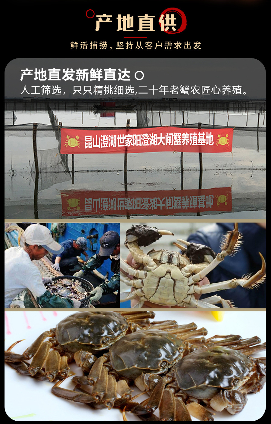 王新龙品牌货源