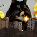 u客直谈实名认证陈卓然