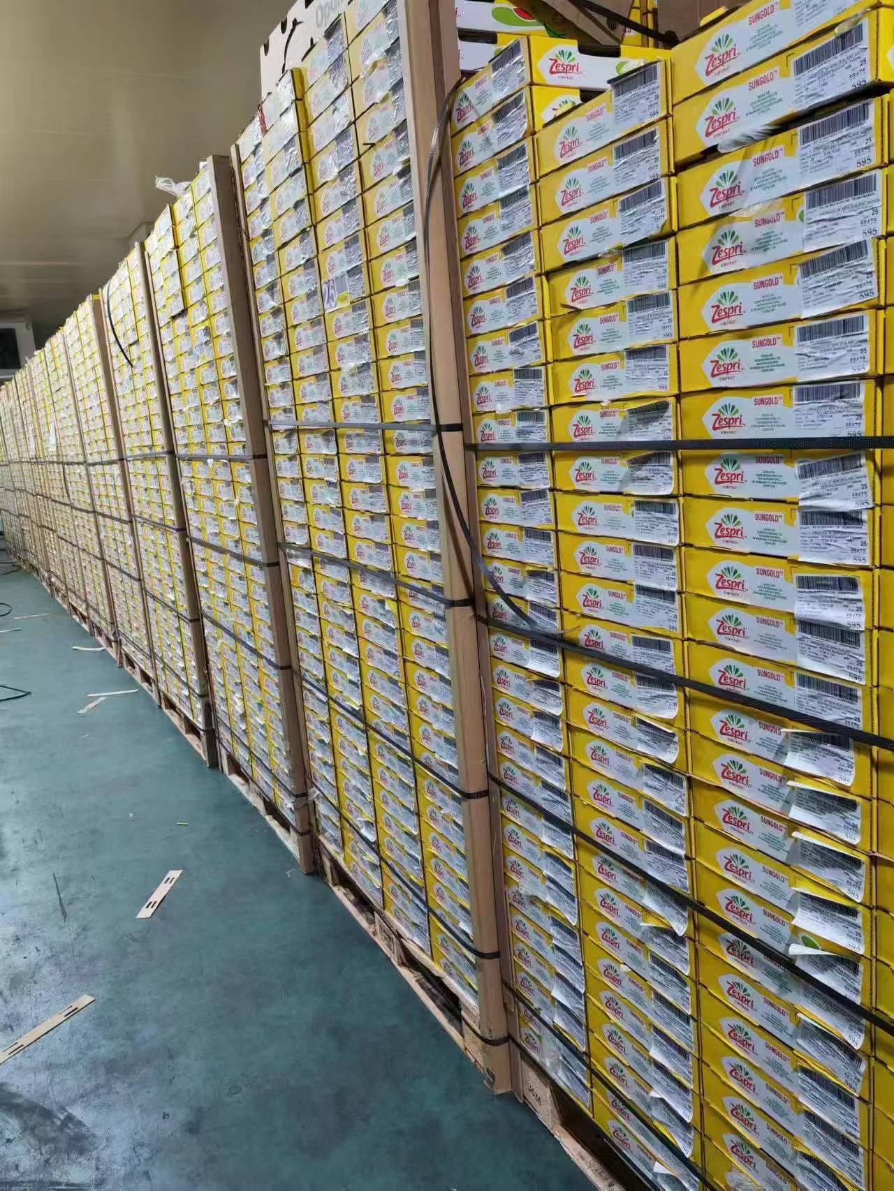 严先生其他供需