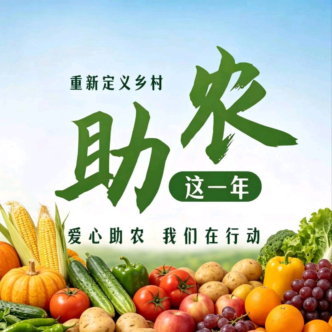 赫女士找合伙人拼多多助农店铺。落地项目，绝不圈钱。