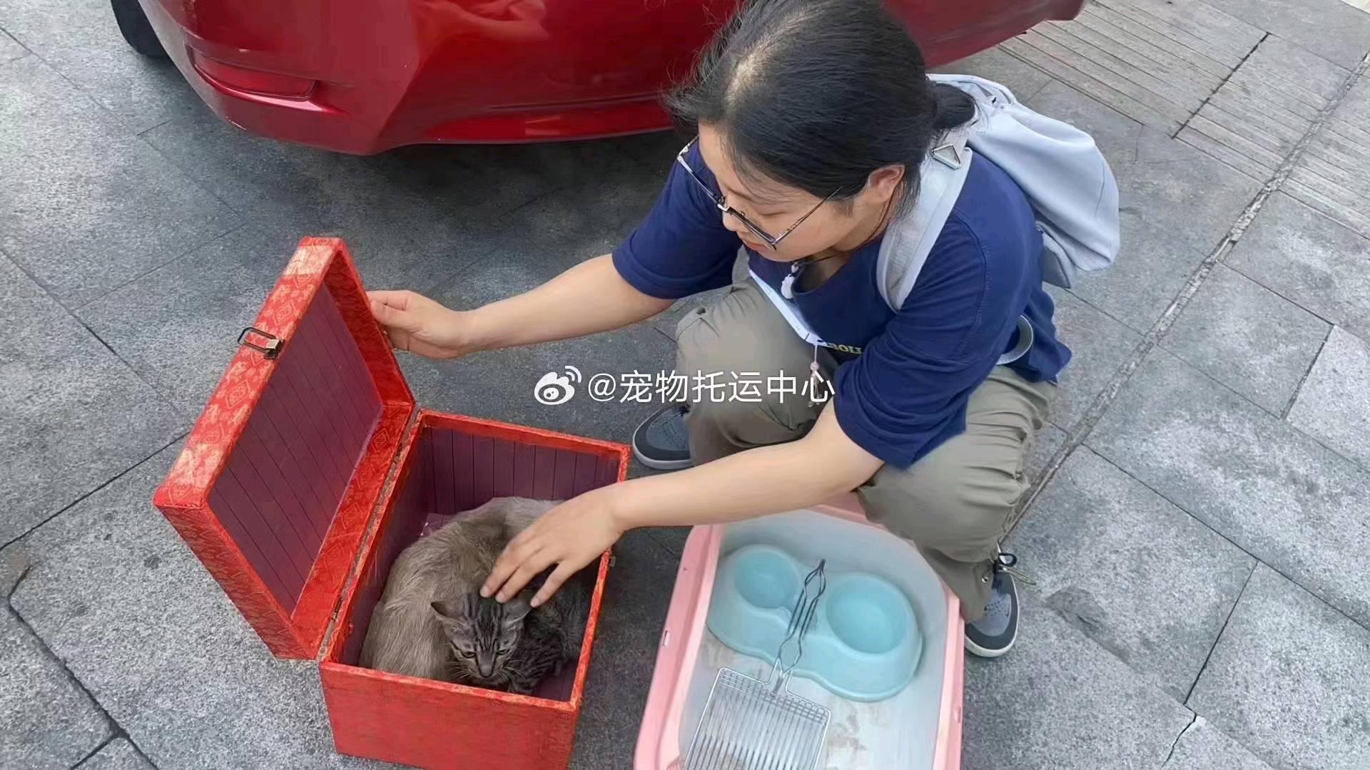 张先生找合伙人