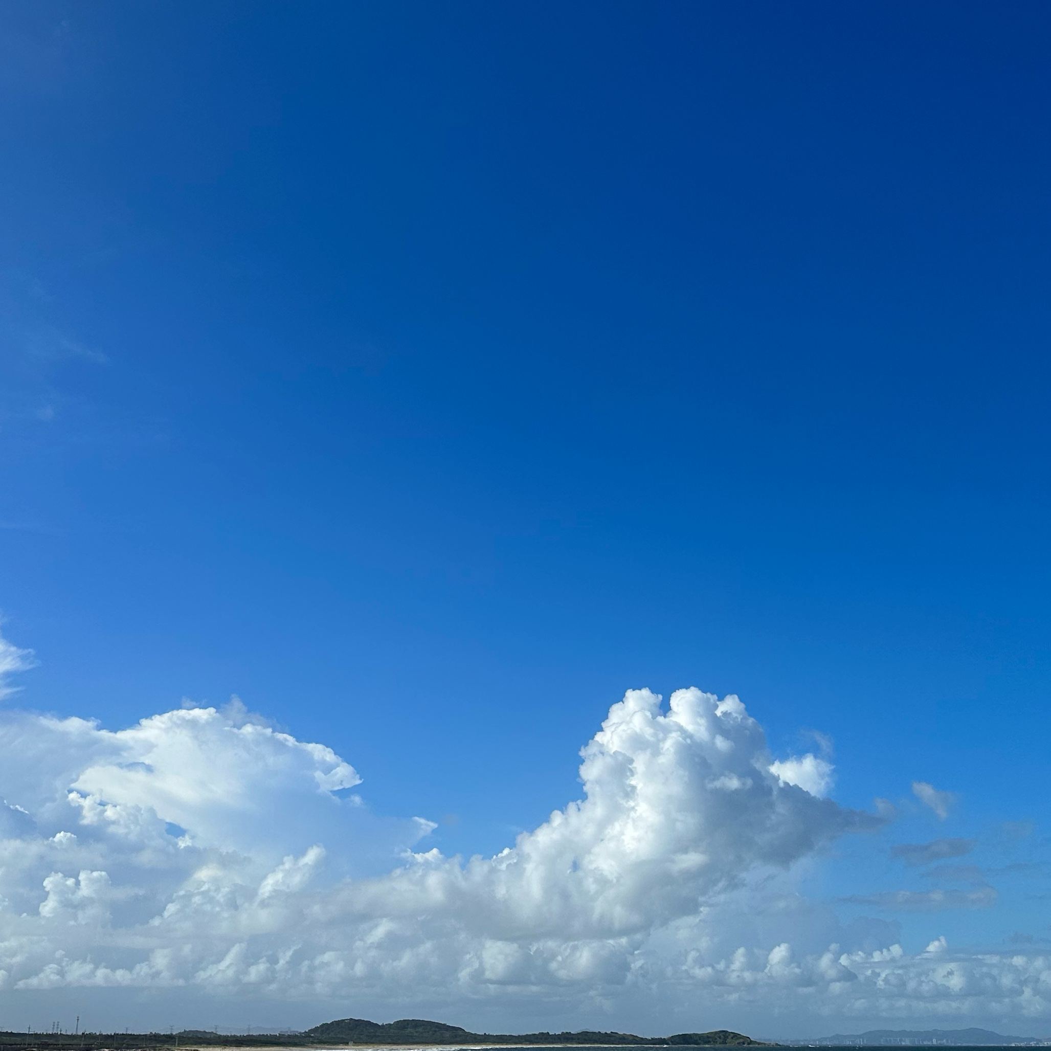 u客直谈实名认证沈存秀