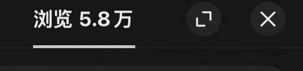 李女士找合伙人