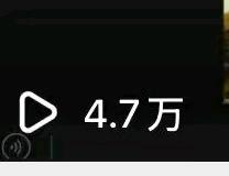 申女士其他供需