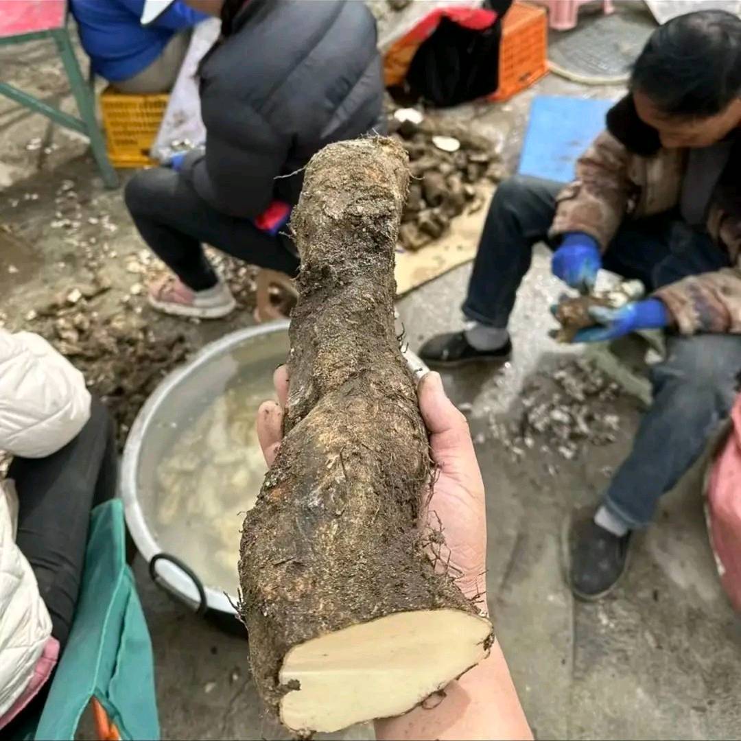 刘先生西藏墨脱茶叶土特产批发