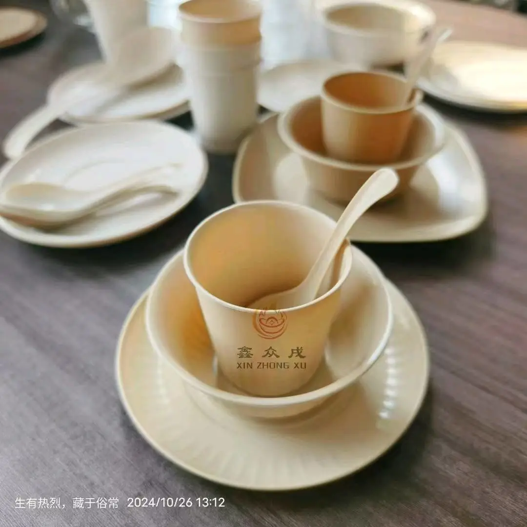 陈帅品牌货源寻找各地区代理商