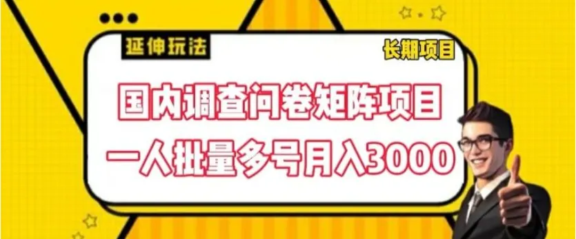 任先生找合伙人寻找 调查问卷矩阵 合伙人