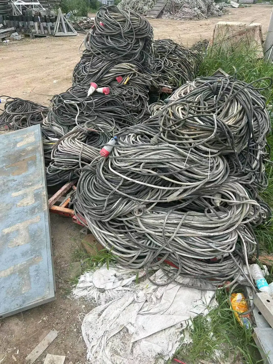 王美丽其他供需