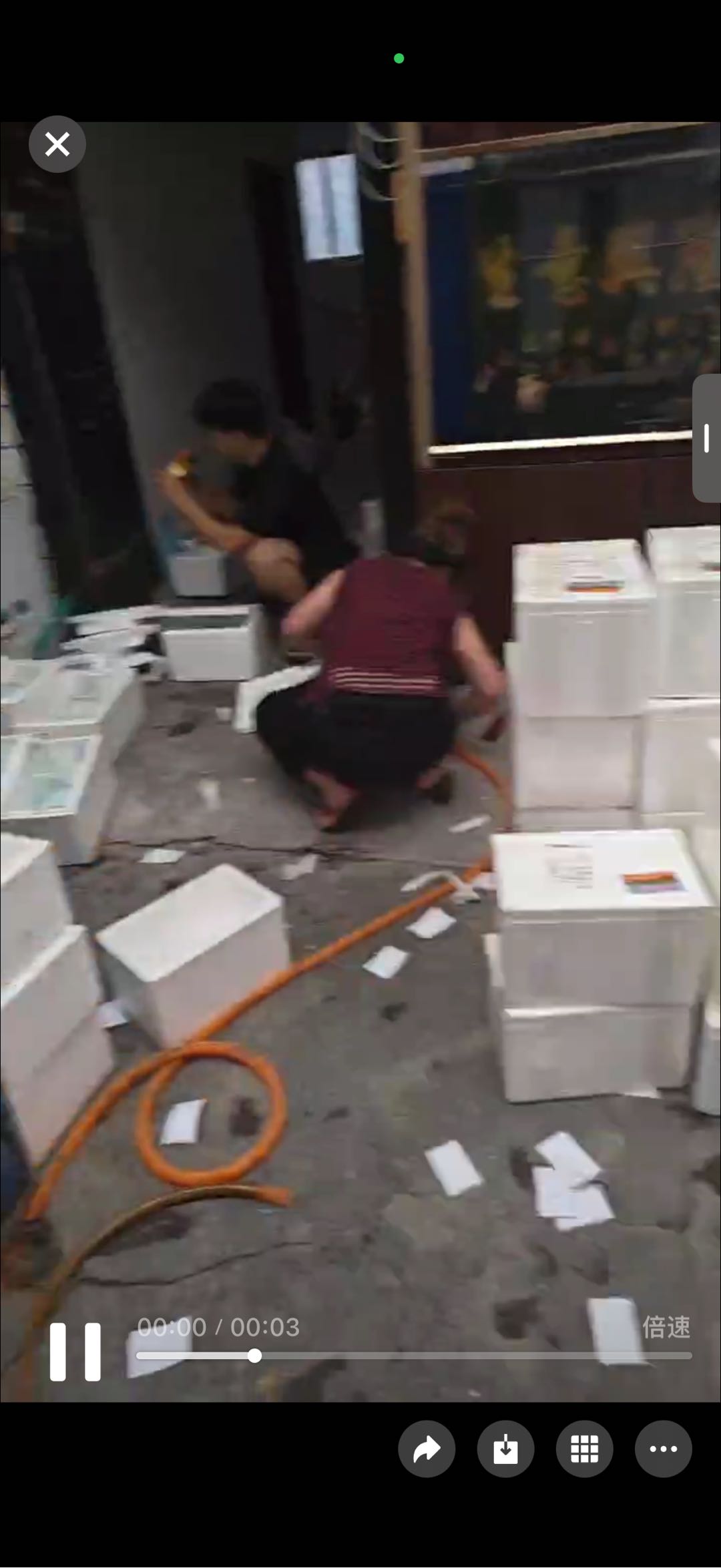 乔女士没学历没技术 来学直播卖鱼，供应链我给你，你负责赚钱