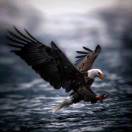 u客直谈实名认证邹道明