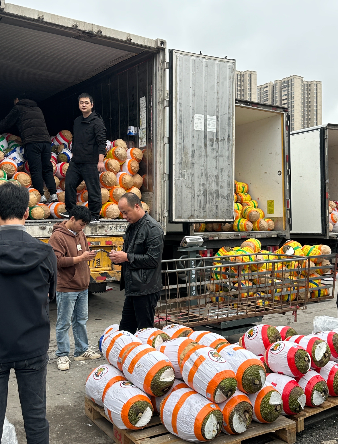 张劲品牌货源优质生鲜水果品牌货源 诚邀直播电商主播合作带货