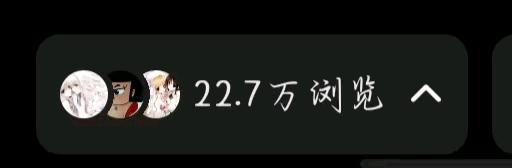 施女士找合伙人