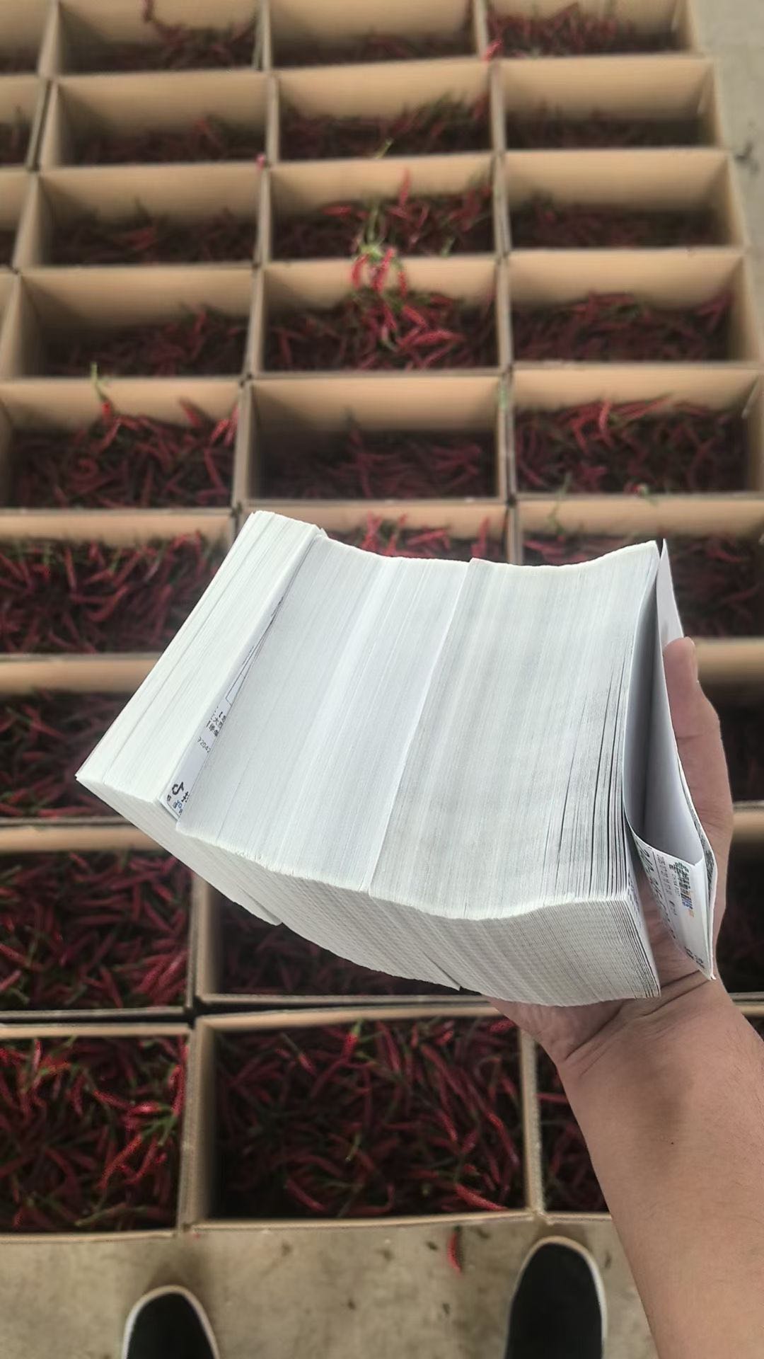 孟先生品牌货源