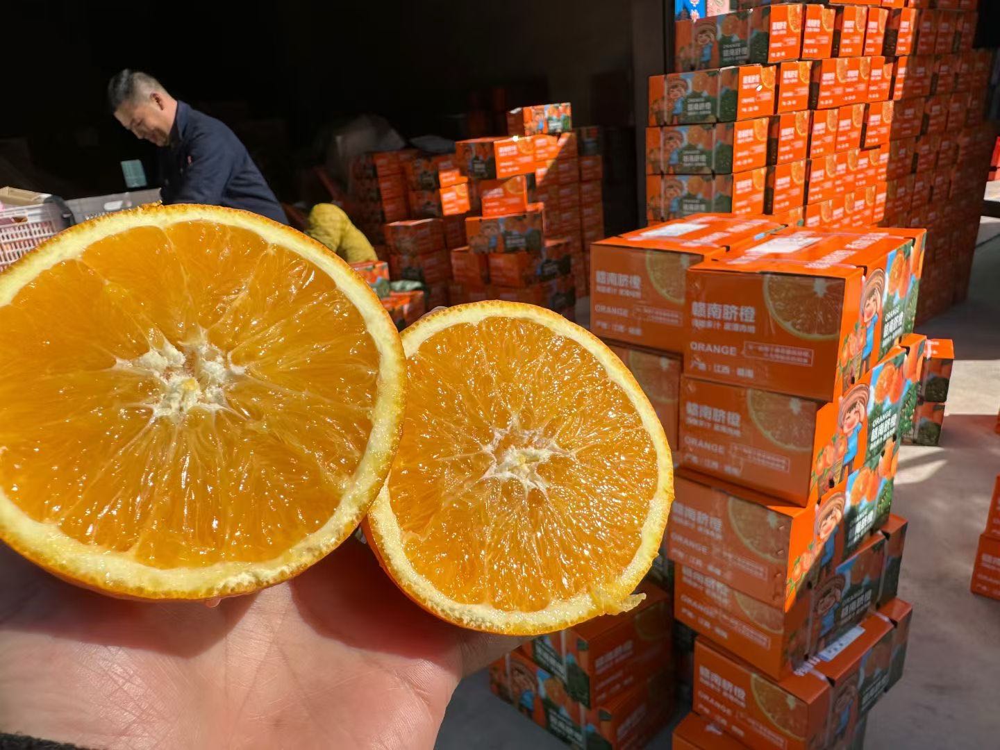 吴志辉品牌货源
